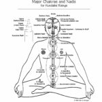 Les Chakras, centres d’énergie